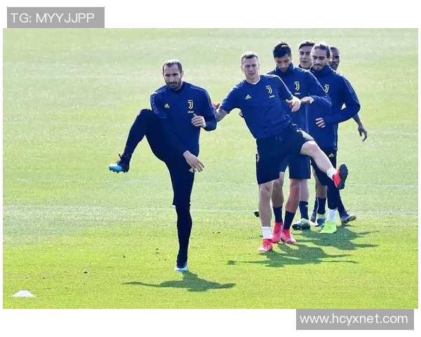 上海排球队在欧冠足球赛中的节奏与表现专题分析 上海排球队在欧冠足球赛中的节奏与表现专题分析