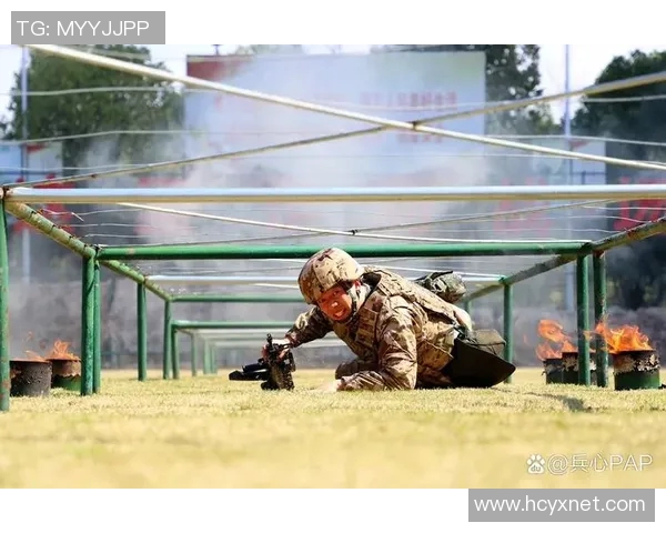 体育实时数据北京排球队耐力训练揭秘提升竞技水平的秘密与挑战