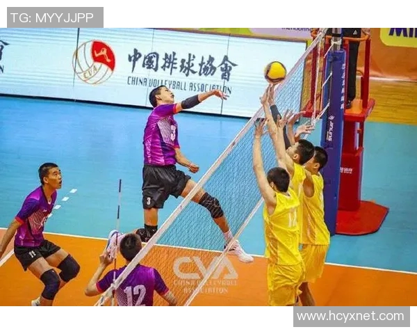 体育实时数据上海排球队节奏争议引发热议球迷与专家各执己见探讨战术变化