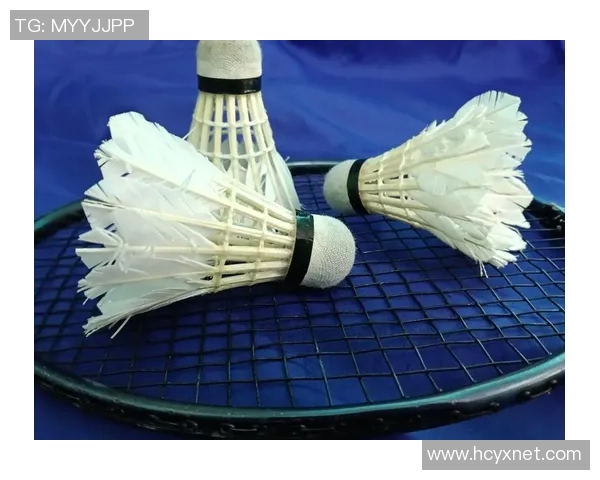 运动最新数据从零基础到羽毛球高手的全面提升指南与实用技巧分享